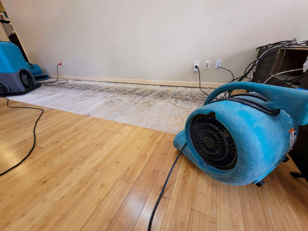 Professional Sewage Cleanup technician working in Unicoi, TN